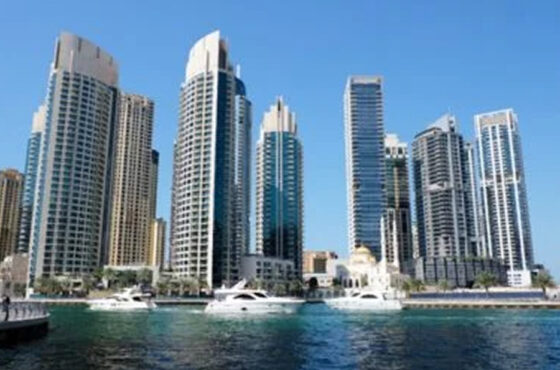 Real Estate Agent Statistics, Insights & Trends in Dubai